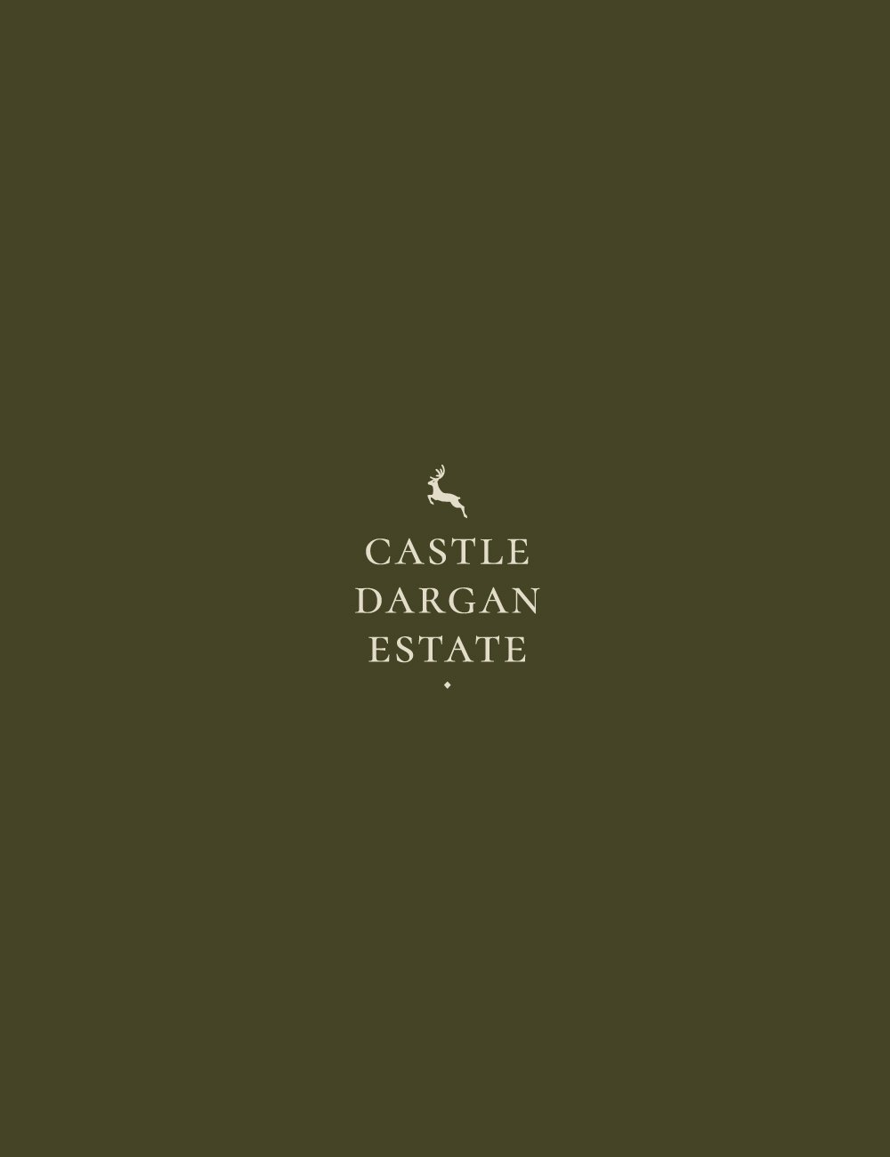 Chevart Studio Branding Castle Dargan